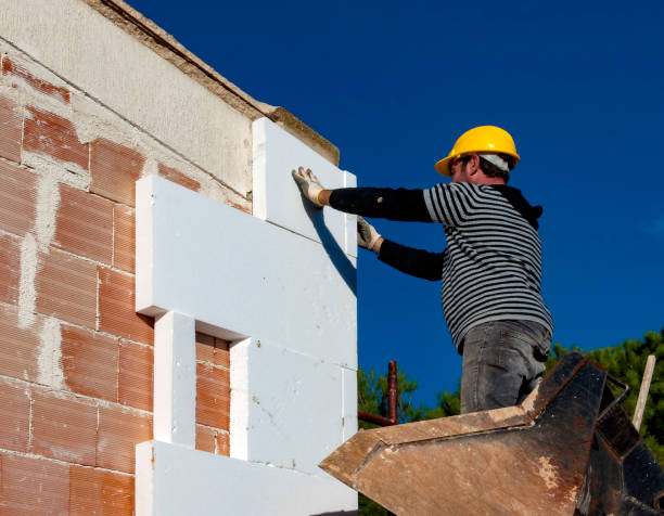 Best Insulation Inspection Services  in Arnold, MO