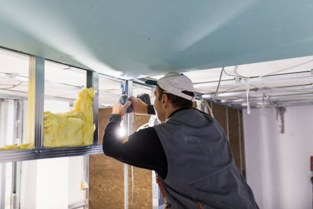 Best Crawl Space Insulation  in Arnold, MO