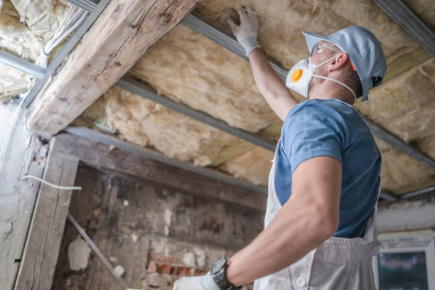 Best Wall Insulation Contractor  in Arnold, MO