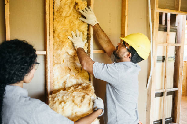 Best Spray Foam Insulation  in Arnold, MO