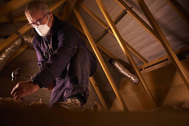 Best Insulation Repair Services  in Arnold, MO